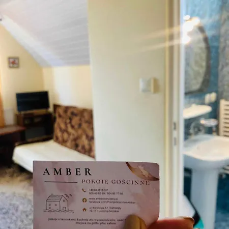 Гостевой дом Goscinne Amber Сянозеты