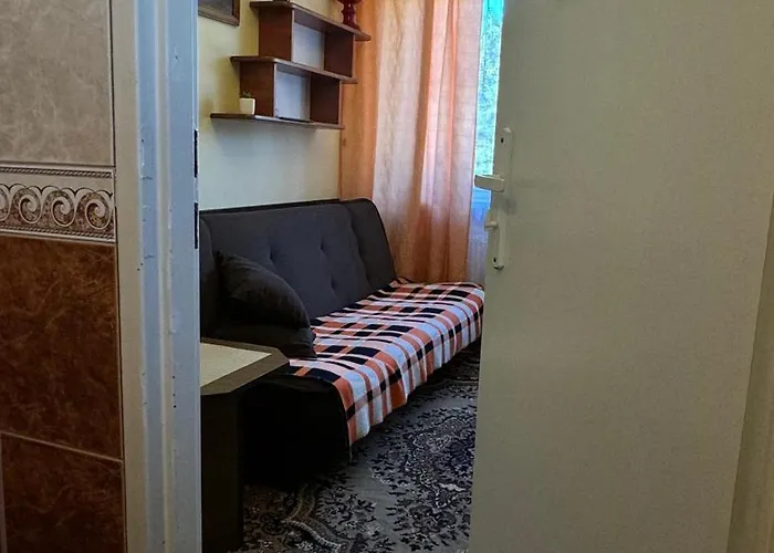 招待所 Goscinne Amber