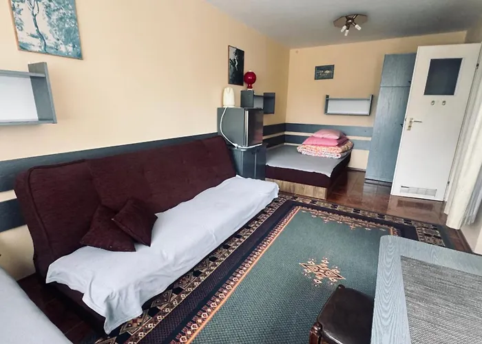 招待所 Goscinne Amber 3*