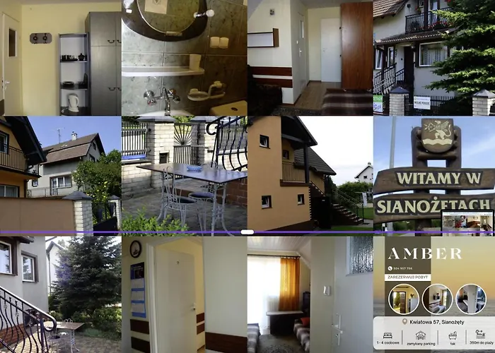 Goscinne Amber 辛安诺泽蒂