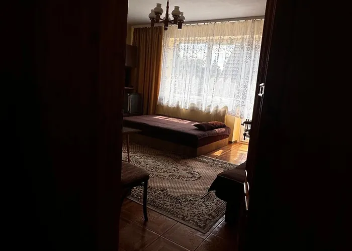 Goscinne Amber 招待所 辛安诺泽蒂