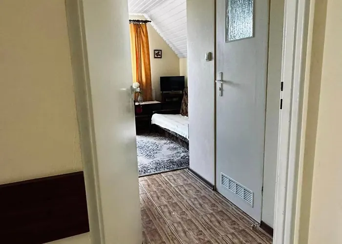 Goscinne Amber 招待所 3*